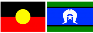 First nations flags