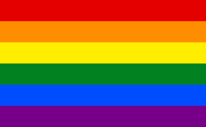 LGBT+ Gay Pride Flag